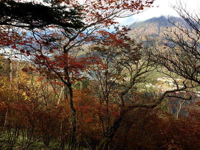 紅葉の先に男体山 