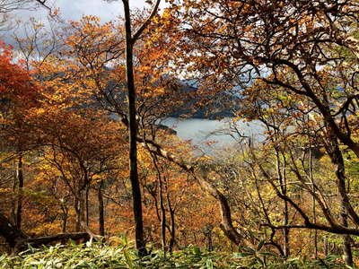 紅葉の向こうに中禅寺湖 