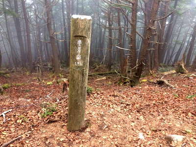 半月山はガスの為展望なし 