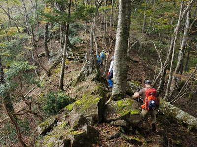 踏跡を辿って山頂を目指す