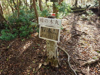 榛ノ木丸山頂の標識