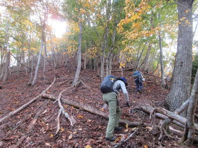 紅葉の米沢山北尾根 