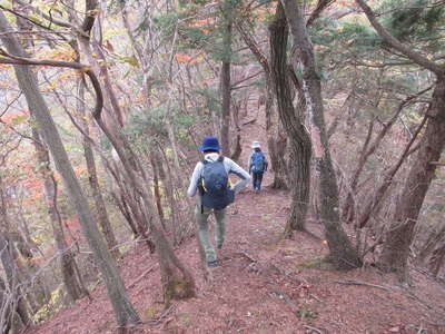 尾根を進む 