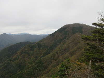 笹子雁ヶ腹摺山 