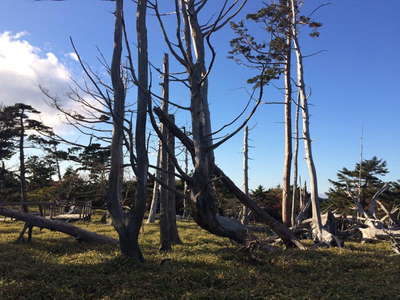 正木ケ原の風景1 