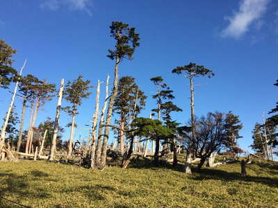 正木ケ原の風景2 