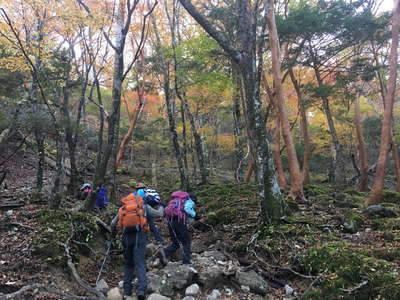 急な登り 