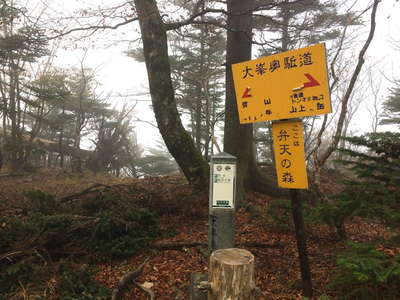 大峯奥駈道の縦走路 