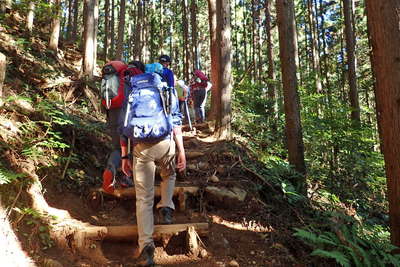 樹林帯の急な登り 