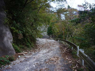 道路に流出した土砂 