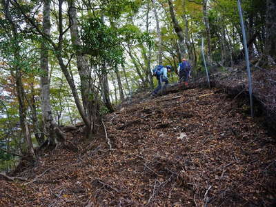 鹿柵を越えて日向山山頂へ 