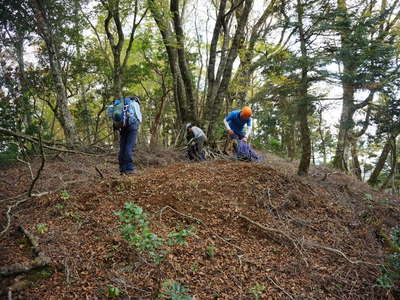 日向山山頂 