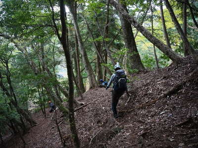 鹿柵沿いに急斜面を下る 