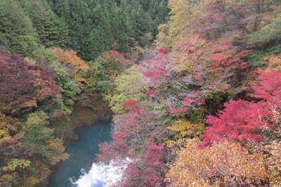 吊り橋から渓谷 