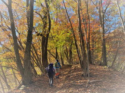 紅葉の道を焼山へ 