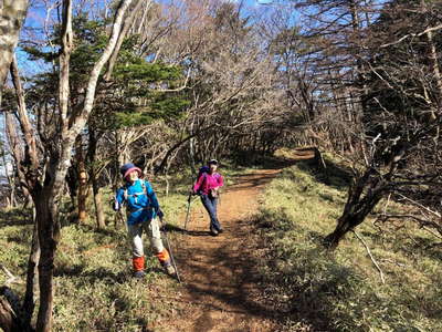 のどかな縦走路 