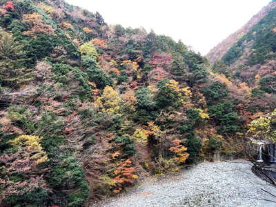 神ノ川の紅葉 