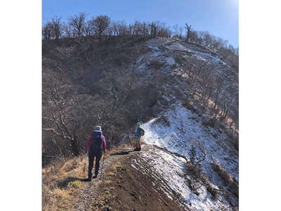 うっすら雪化粧の檜洞丸北面 