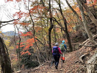 紅葉のトラバース道 