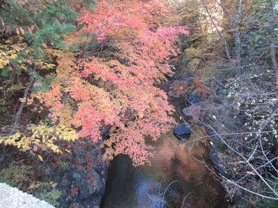 鶴川の紅葉 