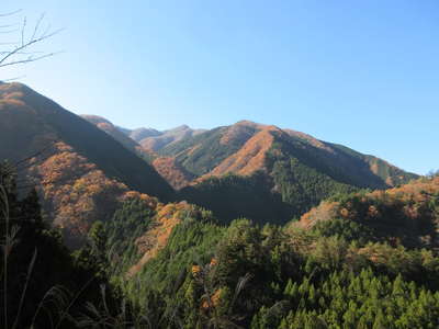 遠くの権現山 