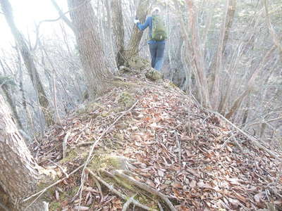 権現山山頂目前の露岩状細尾根