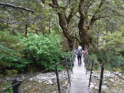 大木に掛けた吊り橋 