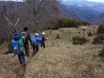 草原を下って灌木の林へ 