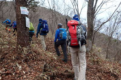 ひと登りすると御正体山の分岐 