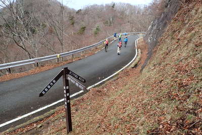 林道の分岐に出ます 