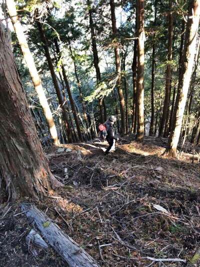 寄水源地への急な下り