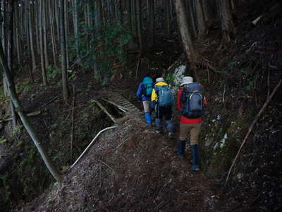 杉林の中の登山道を行く 