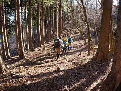 屏風岩山へ 