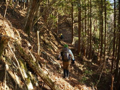 巻道から二本杉峠へ