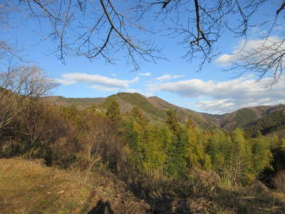 下山路から陣馬山を振り返る 