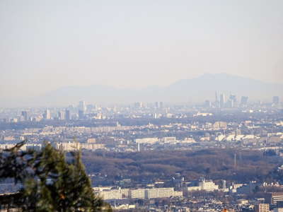 稲荷山からスカイツリーや筑波山を望む 