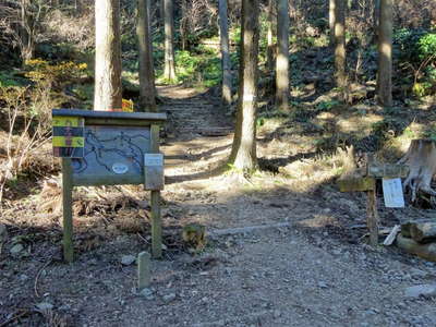 草戸峠から林道に下ってしまい引き返す 