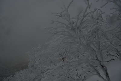 周囲の状況（強風と積雪）