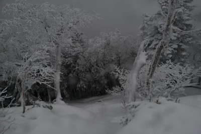 周囲の状況（強風と積雪）