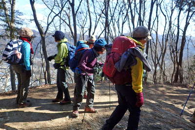 木立に覆われた御嶽山の山頂 