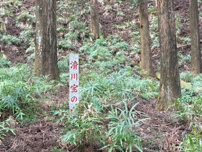 清川宝の山の石柱 