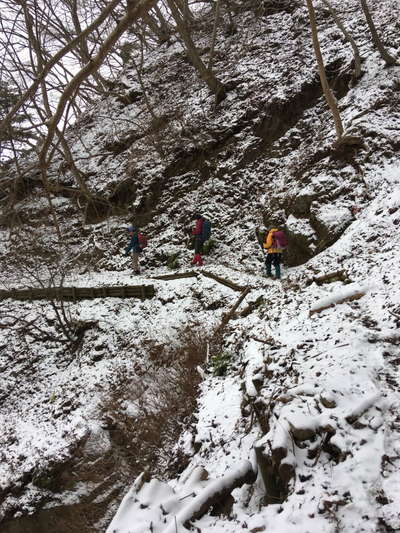 物見峠からの下山路