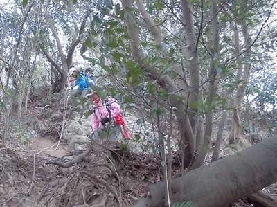 田浦梅林近く山道 