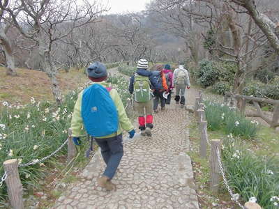 田浦梅林の遊歩道 