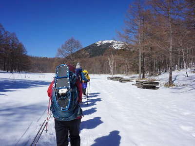 臼窪湿原、雪は少ない 