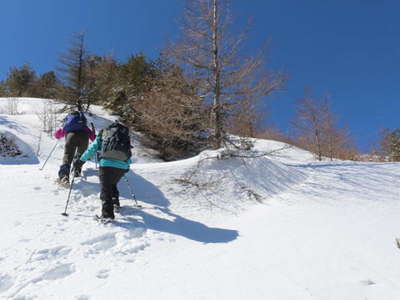 直登尾根をラッセル