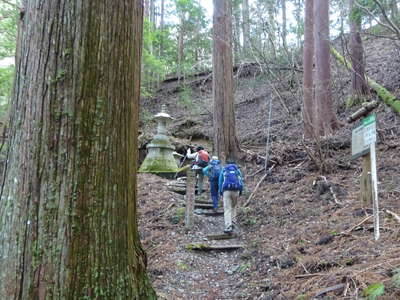 表参道登山口からスタート 