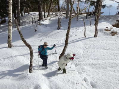 50cm以上の積雪 