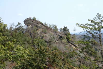 途中に亀岩展望台