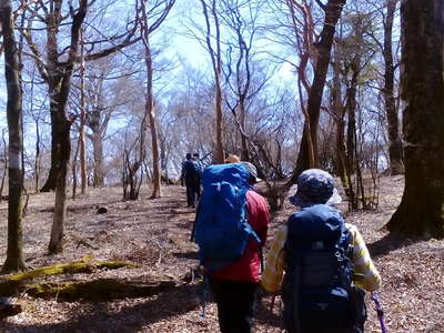 馬場平を行く